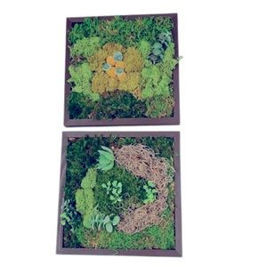 Moss Wall Art , Preserved Moss Wall Decor (set 2)